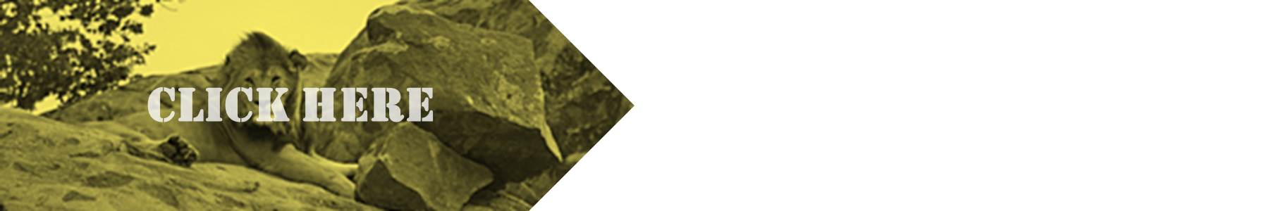 Image showcasing Evolutionary Trade-Offs – www.MrAscience.com