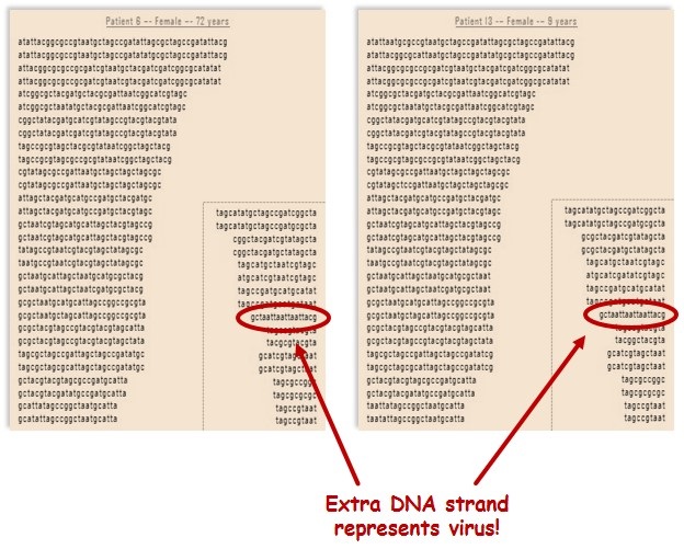 Outbreak! – Day 3 – www.MrAscience.com