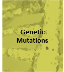 Slide3 [www.imagesplitter.net]-1-3