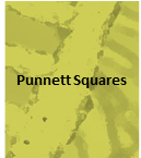 Slide3 [www.imagesplitter.net]-2-3