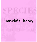 Unit Calendars [www.imagesplitter.net]-0-3