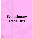 Unit Calendars [www.imagesplitter.net]-1-3