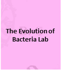 Unit Calendars [www.imagesplitter.net]-2-1