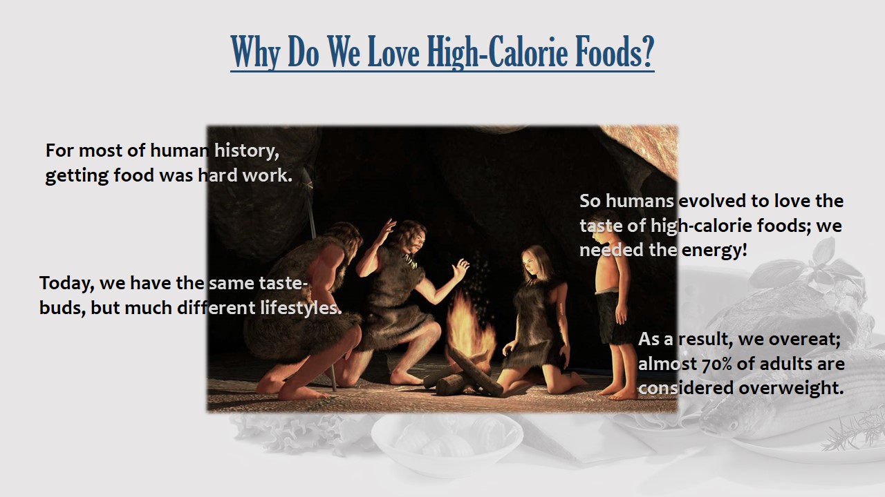 The Chemistry of Food – Day 1 – www.MrAscience.com